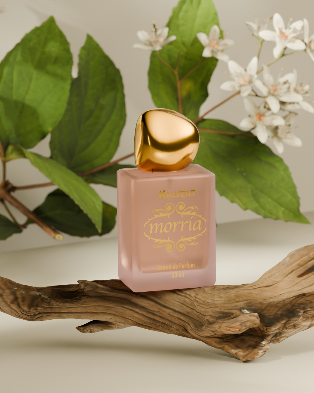 IMG_2288 Kalvent Morria Extrait de Parfum - Gambar 3